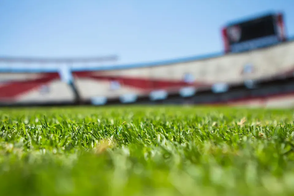 AFLW Rules Differences: A Complete Checklist