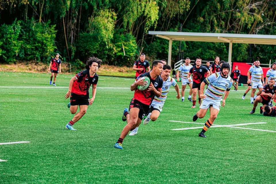 Sydney Roosters Fan Guide to Stadiums: Tips for Match Day